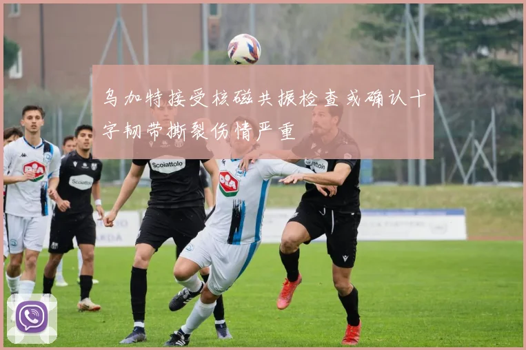 乌加特接受核磁共振检查或确认十字韧带撕裂伤情严重