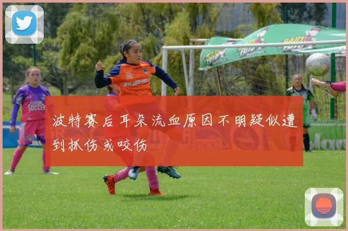波特赛后耳朵流血原因不明疑似遭到抓伤或咬伤
