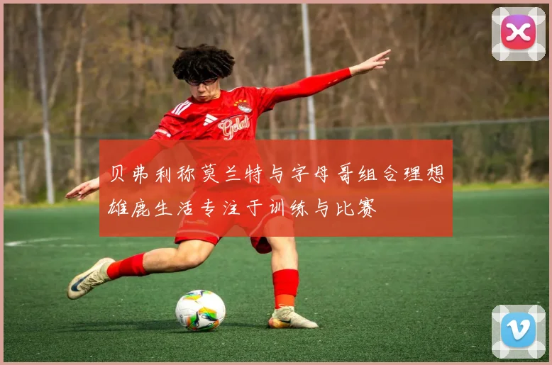 贝弗利称莫兰特与字母哥组合理想雄鹿生活专注于训练与比赛